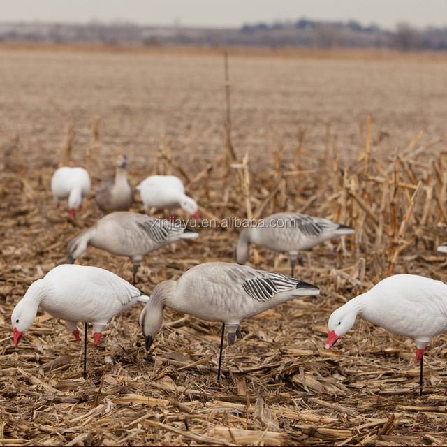 The Cost of Goose Down per Pound