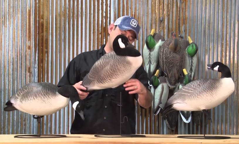 The Cost of Goose Down per Pound