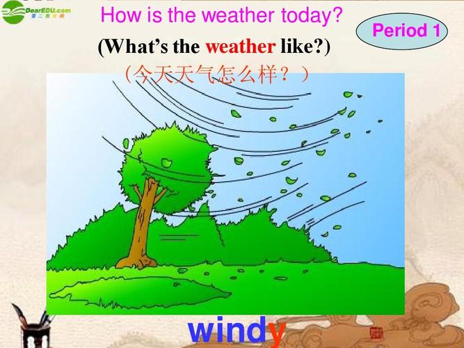 What is Feather Down?