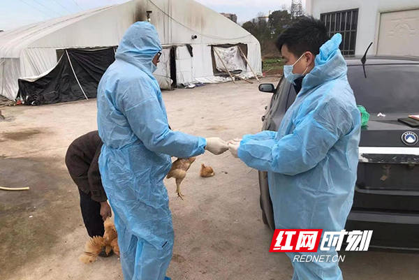 羽绒检测，确保产品质量与安全