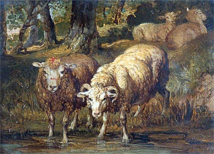 The Merits and Drawbacks of Sheepskin and Down Duvets