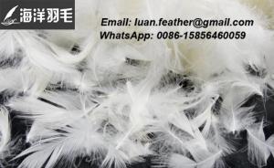 Wholesale Feather Duvet Shells: A Quality Product for Your Bed