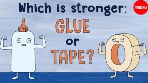 Which One Is Better: Quilt or Duvet?