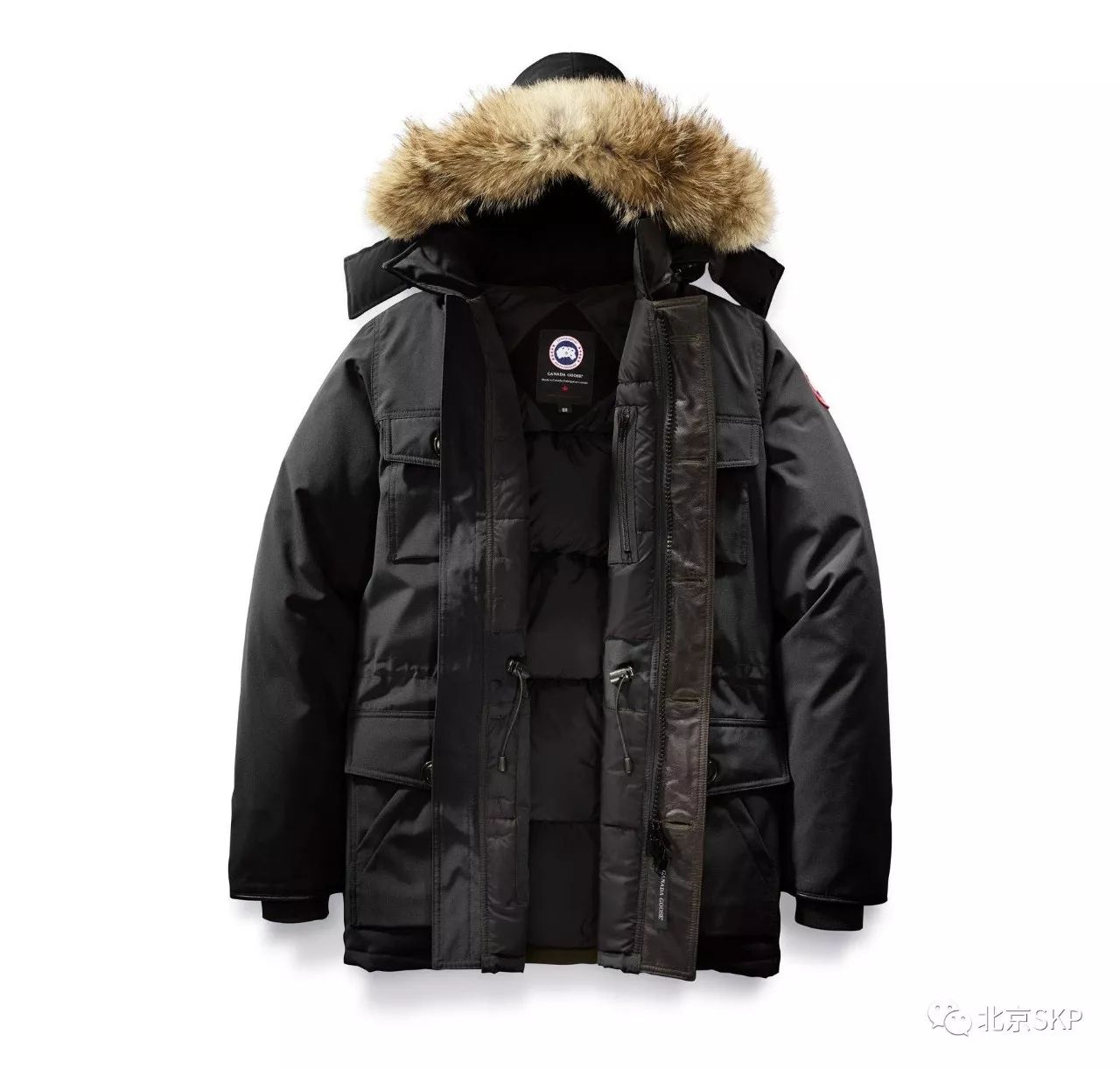 The Debate of Goose vs. Duck Down in羽绒服