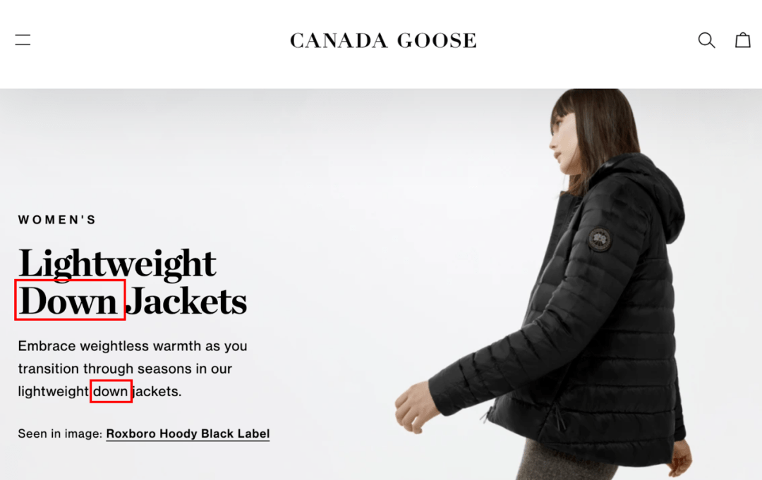 Can You Spin Dry a Down Jacket?