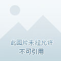 TITLE: Bosideng羽绒服半成品，市场现状、优势与未来发展