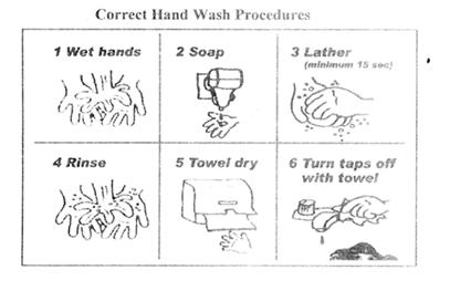 Can You Use Soap to Wash Down Jackets?