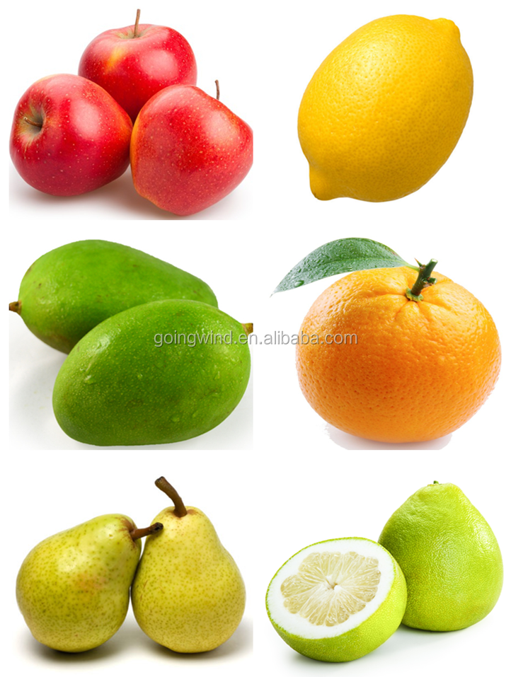 Title: Fruit Pomelo Fashion: A Trendsetting Brand for the Modern Woman