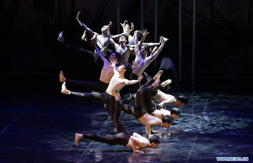 Unveiling the Art of Dance: An Exploration into the World of Womens Dance Training Apparel