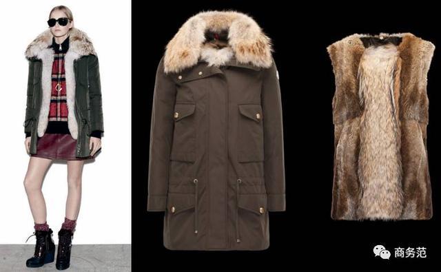 The Debate on the Warmth of貂 vs.羽绒服