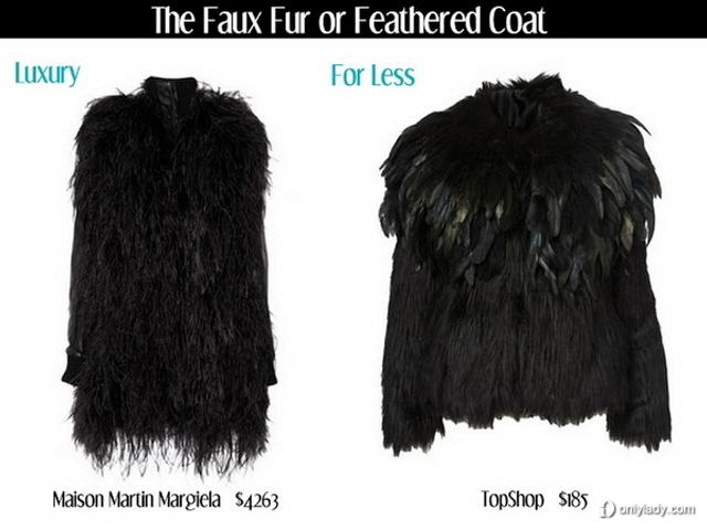 The Debate on the Warmth of貂 vs.羽绒服