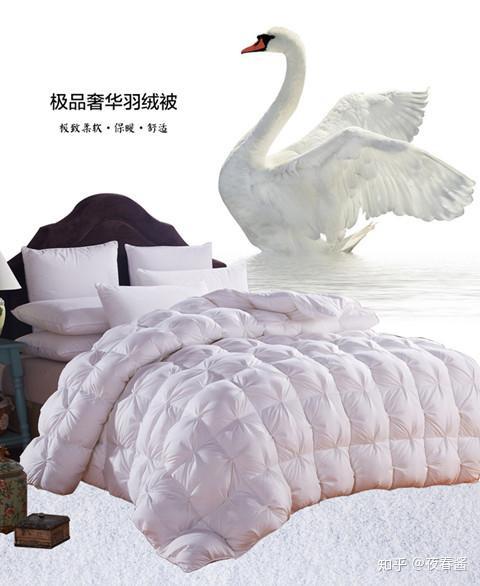 羽绒被卖点介绍
