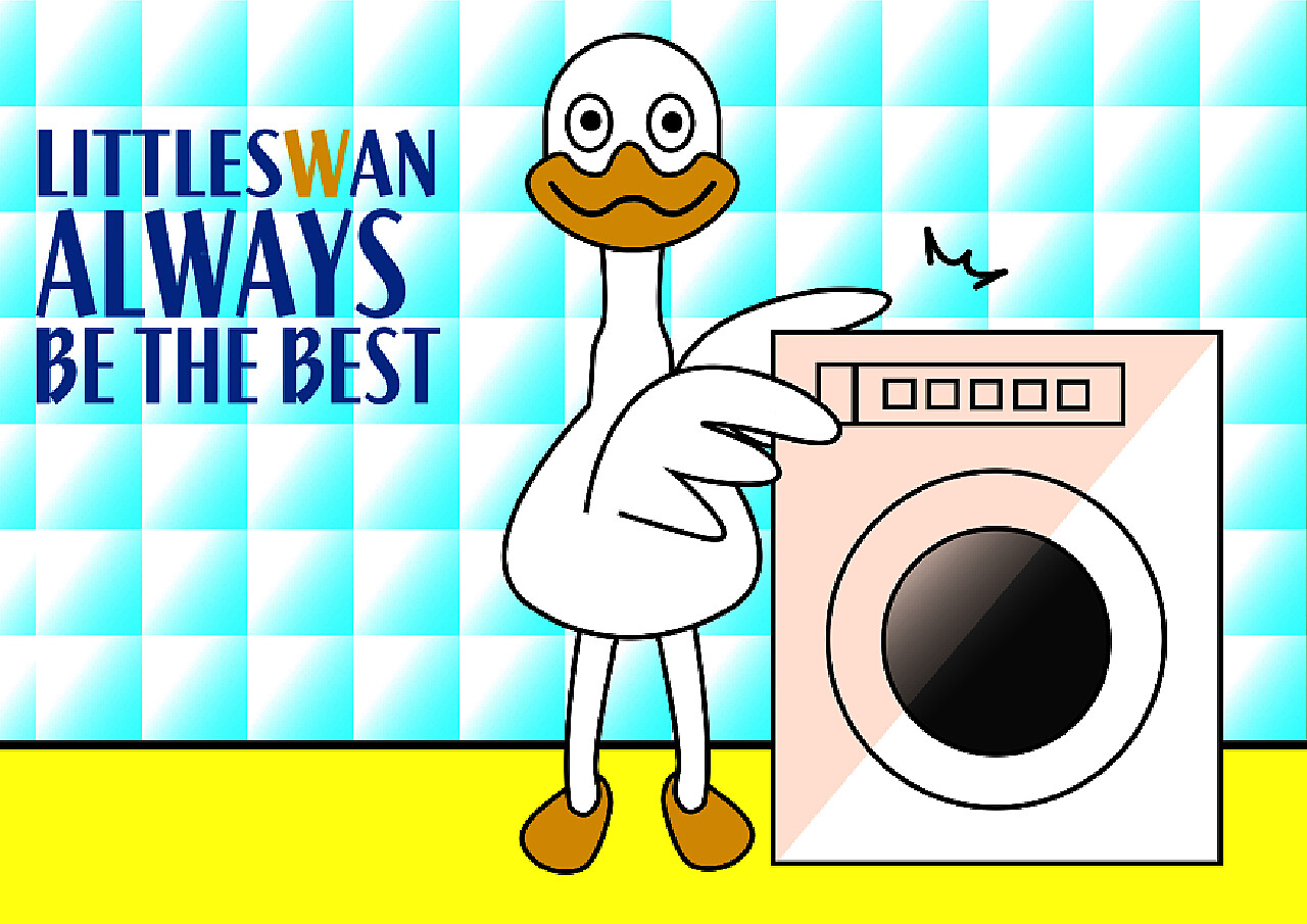 How to wash down jackets in Little Swan washing machines