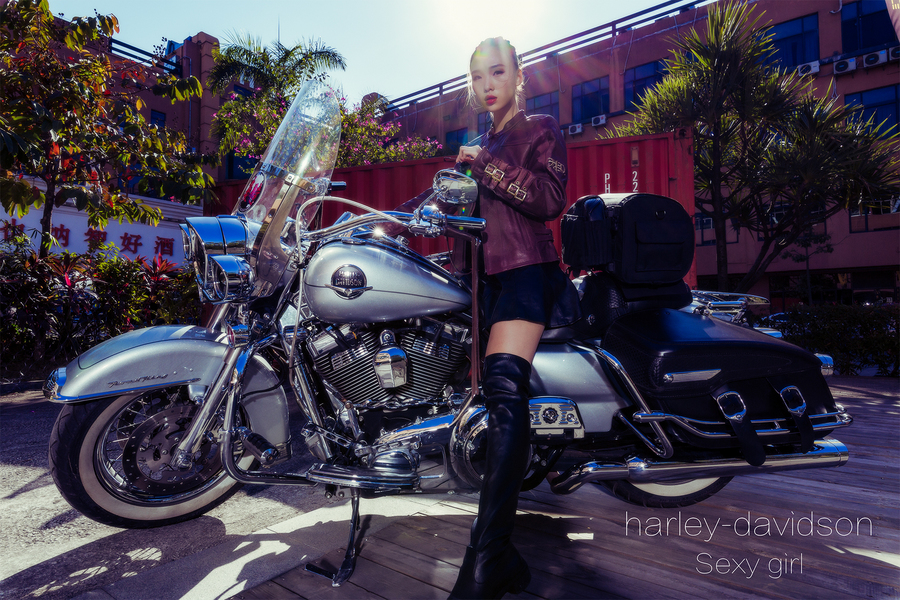 Title: Embracing the Enchanting World of Womens Harley-Davidson Motorcycles