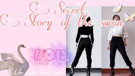Title: The Subtle Art of Masquerading as a Woman in Womens Wear