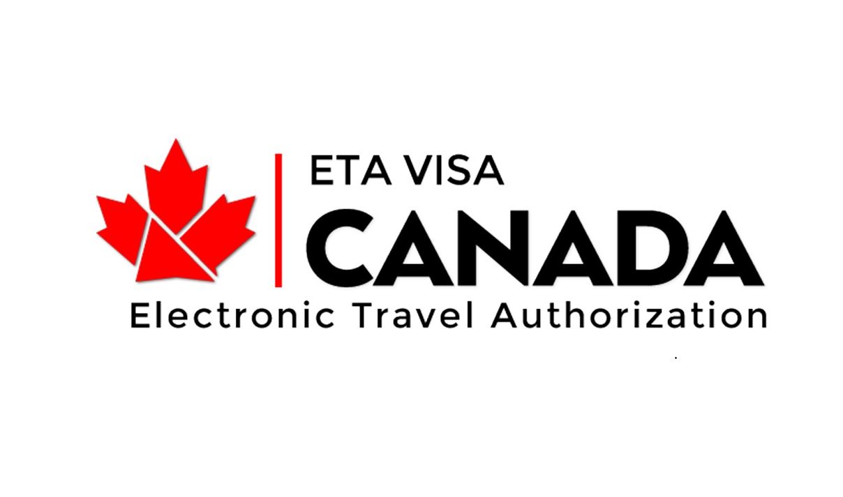 Title: Canadian Down Brands: The Ultimate Guide