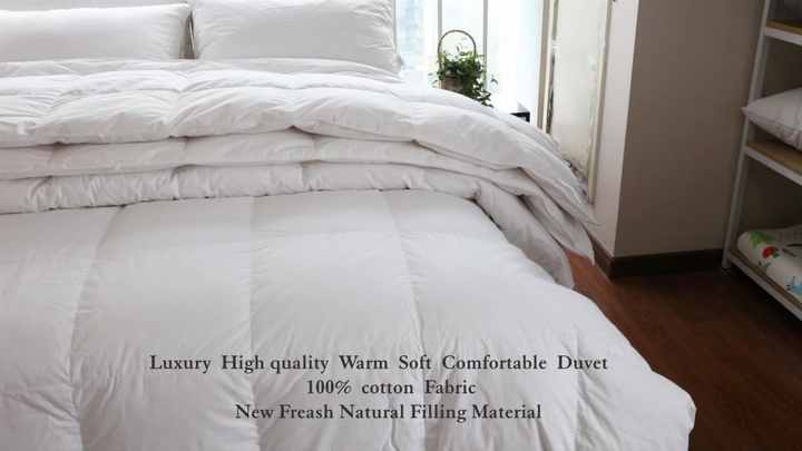 Title: The Unique Comfort of Down and Wool: An Examination of Featherbeds and Quilted Comforters