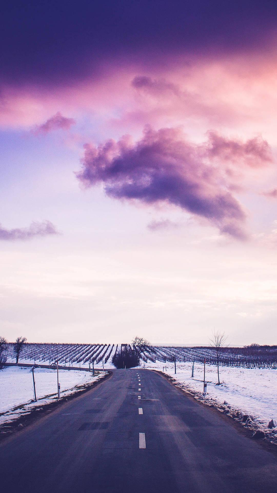 Title: Flying in Snow: The Story of a Womens羽绒服