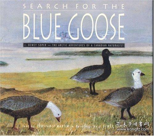 The story of Canadas Great White North: The journey of the goose in the icy tundra