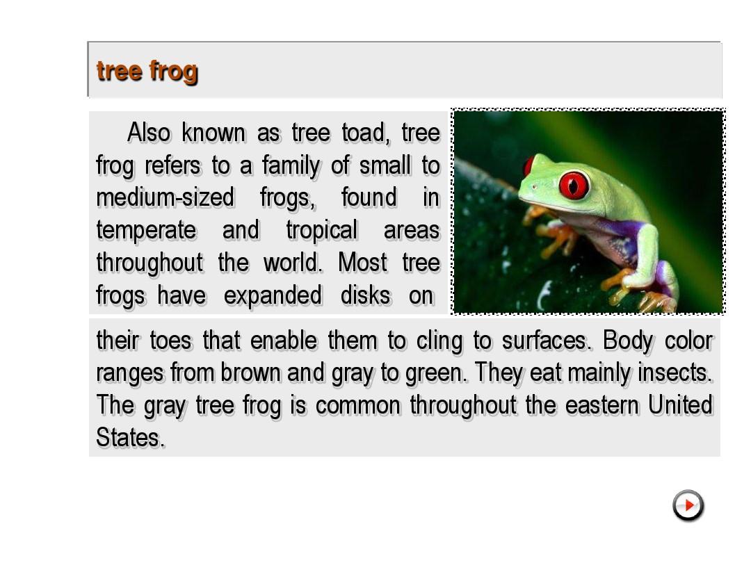 Title: The Irregular Adventures of Froggy Fashionista: A Tale of Tailoring Transformations and Self-Discovery