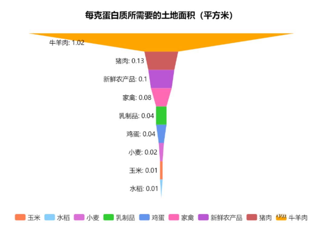 Comparative Analysis of Prominent Down Jacket Brands