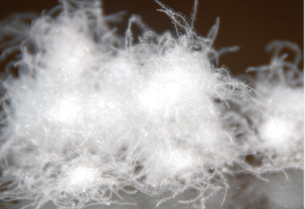 Feather Coats Cleaning Hacks: How to Avoid Clumps and Restore Flatness