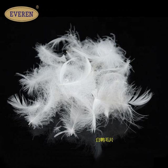 Title: The Difference between Feather and Down: Understanding the Basics of羽绒鸭绒