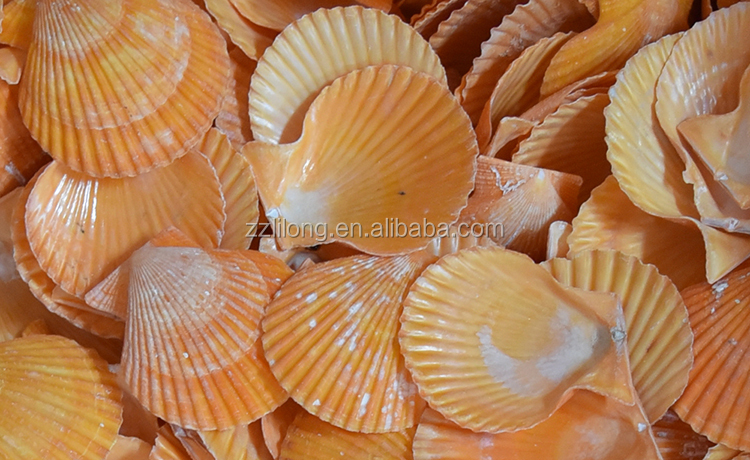 The Price of Down Comforter Shells