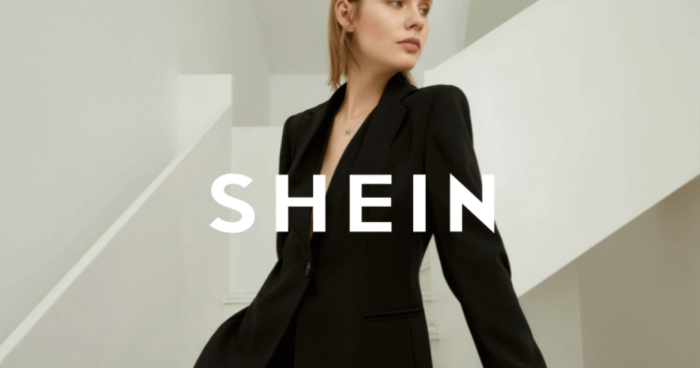 Title: Top 10 Brand Womens Clothing Franchise Opportunities for Entrepreneurs