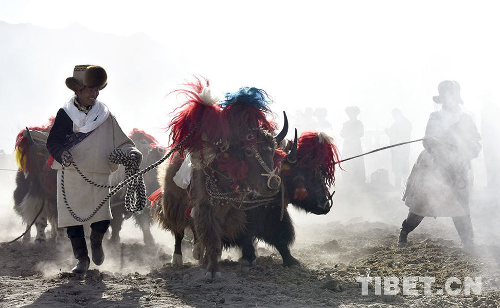 The Beauty of Tibetan Scarves