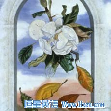 Title: Exploring the World of Hanxu Womens Clothing: A Fashionable and High-Quality Experience