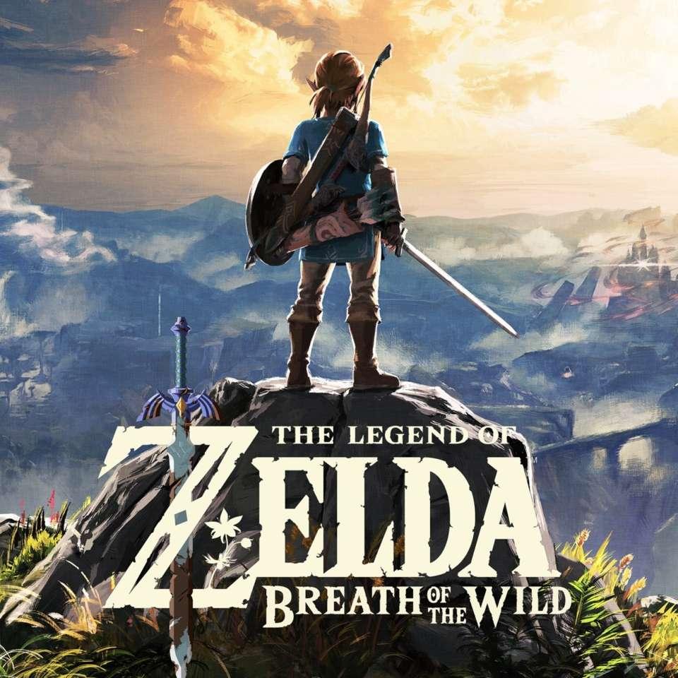 Title: The Legend of Zelda: Links Womens Wear Adventure - A Fashionable Journey Through Hyrule