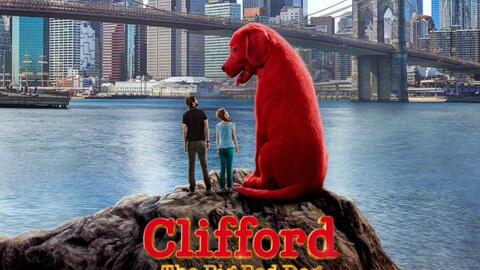The Red Scarf Dog