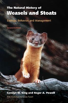 The Story of the Weasel and the Squirrel