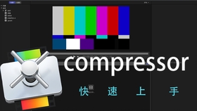 Title: Cold or Hot Compress for High Fever: Which is Better?