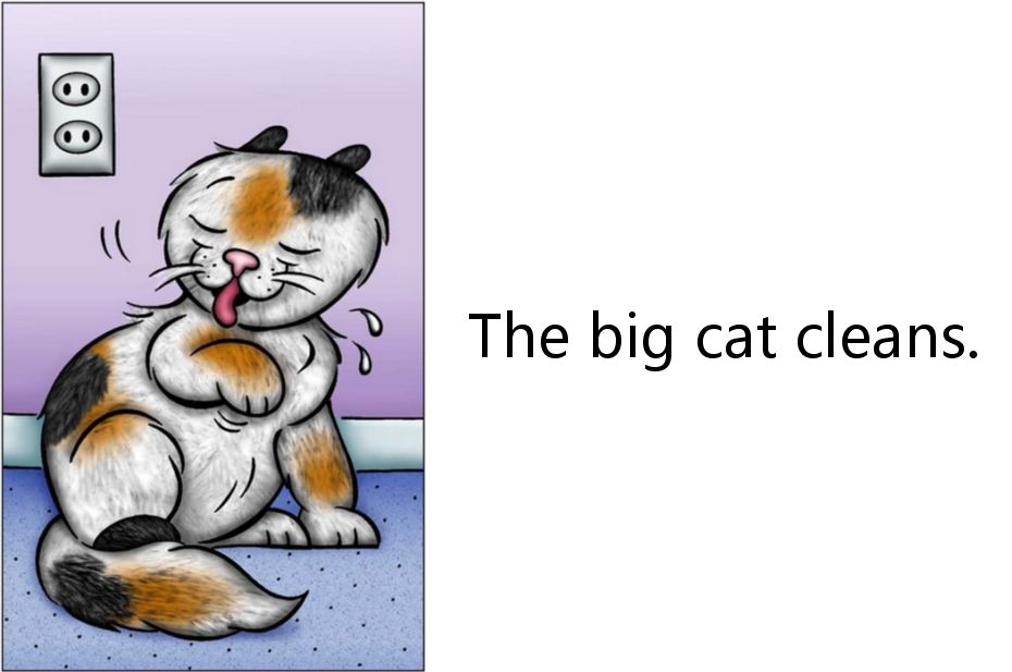 The Blanket Cat
