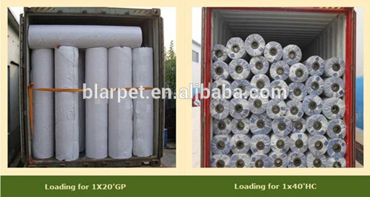 Carpet Wholesalers: Supplying the World with Quality Carpets