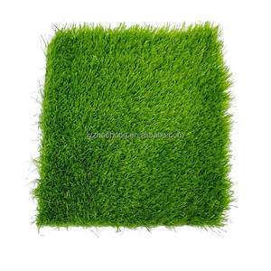 Carpet Grass: The Ideal Solution for Your Lawn