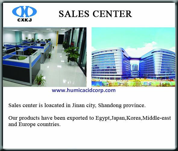 Title: Rising East Carpets Group: A Global Leader in Quality Carpeting