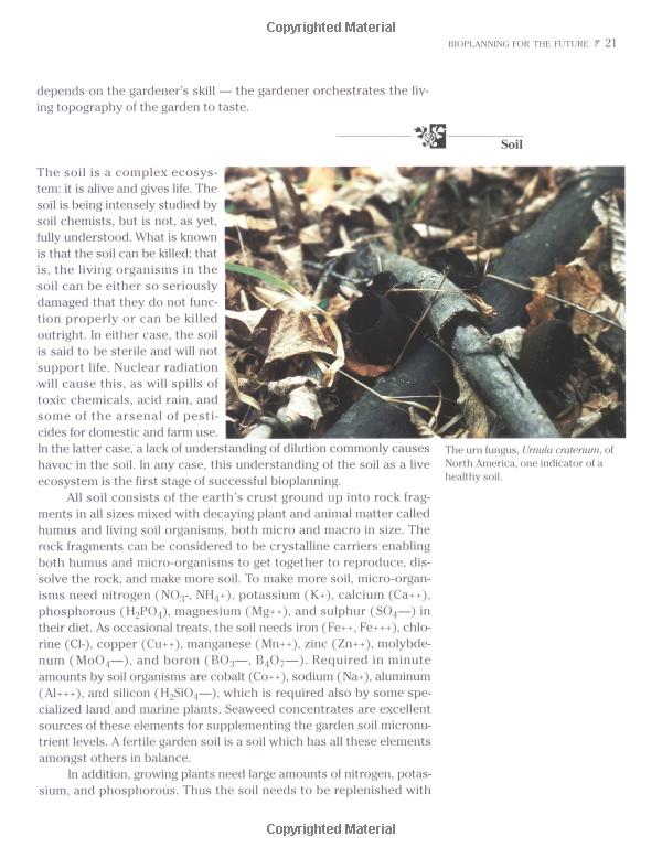 Title: The Evolution of Carpets and Lawns: From Utility to Aesthetic