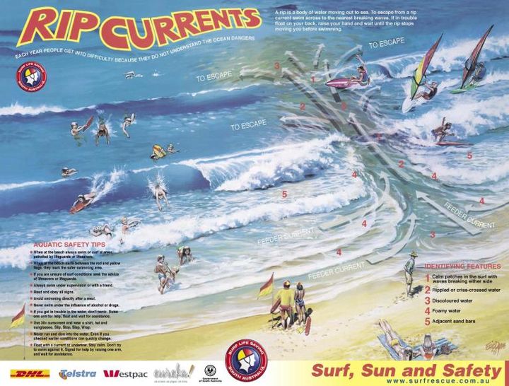 The Art of Surfing the Web: An Exploration into the World of CouchSurfing