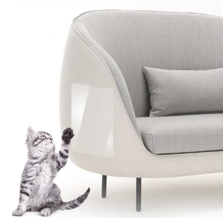 Title: Can Cats Scratch Leather Sofas? The Answer Might Surprise You