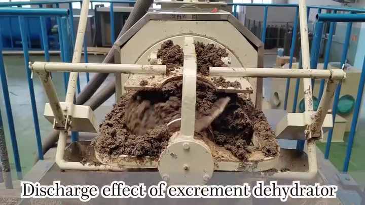 Can a Rug Be Machine-washed?