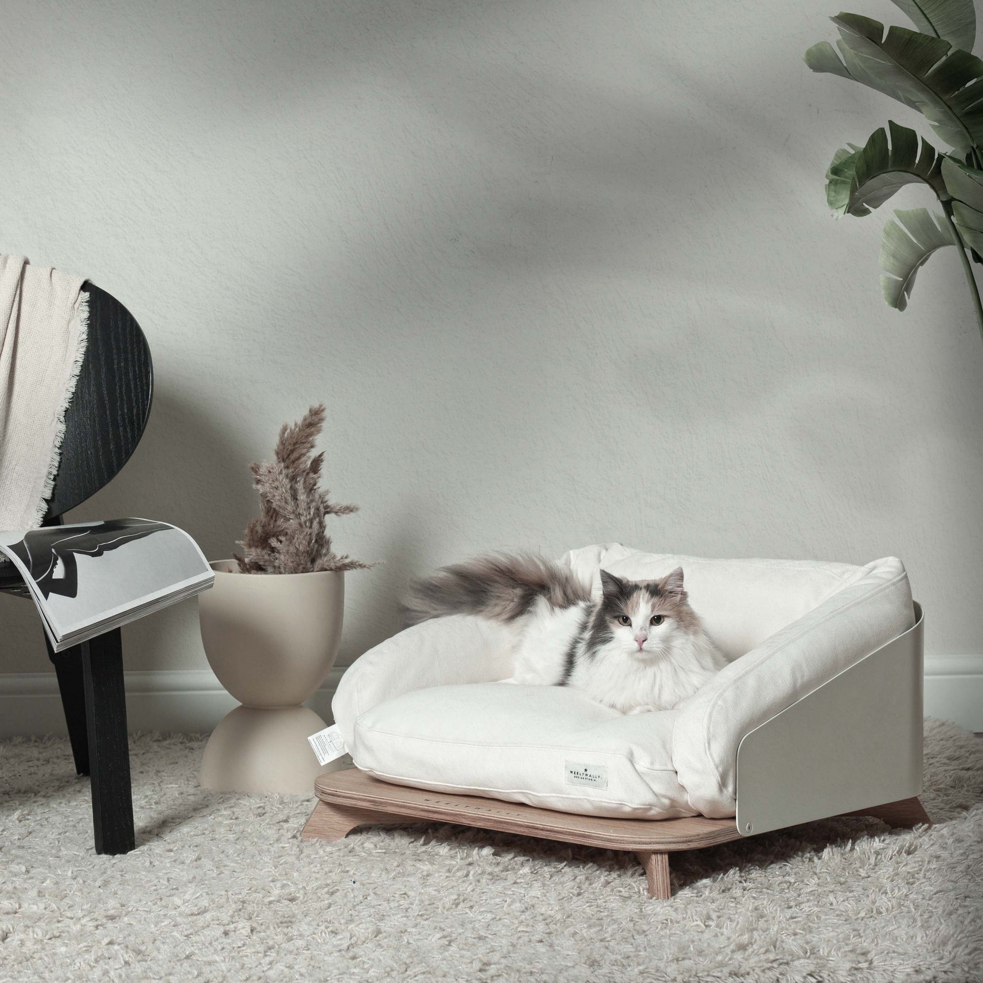 Title: The Allure of Cat-Claw Sofas: A Decadent Escape from the Modern World