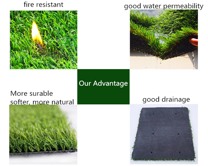 The Unique Charm of Brazilian Tapestry Grass