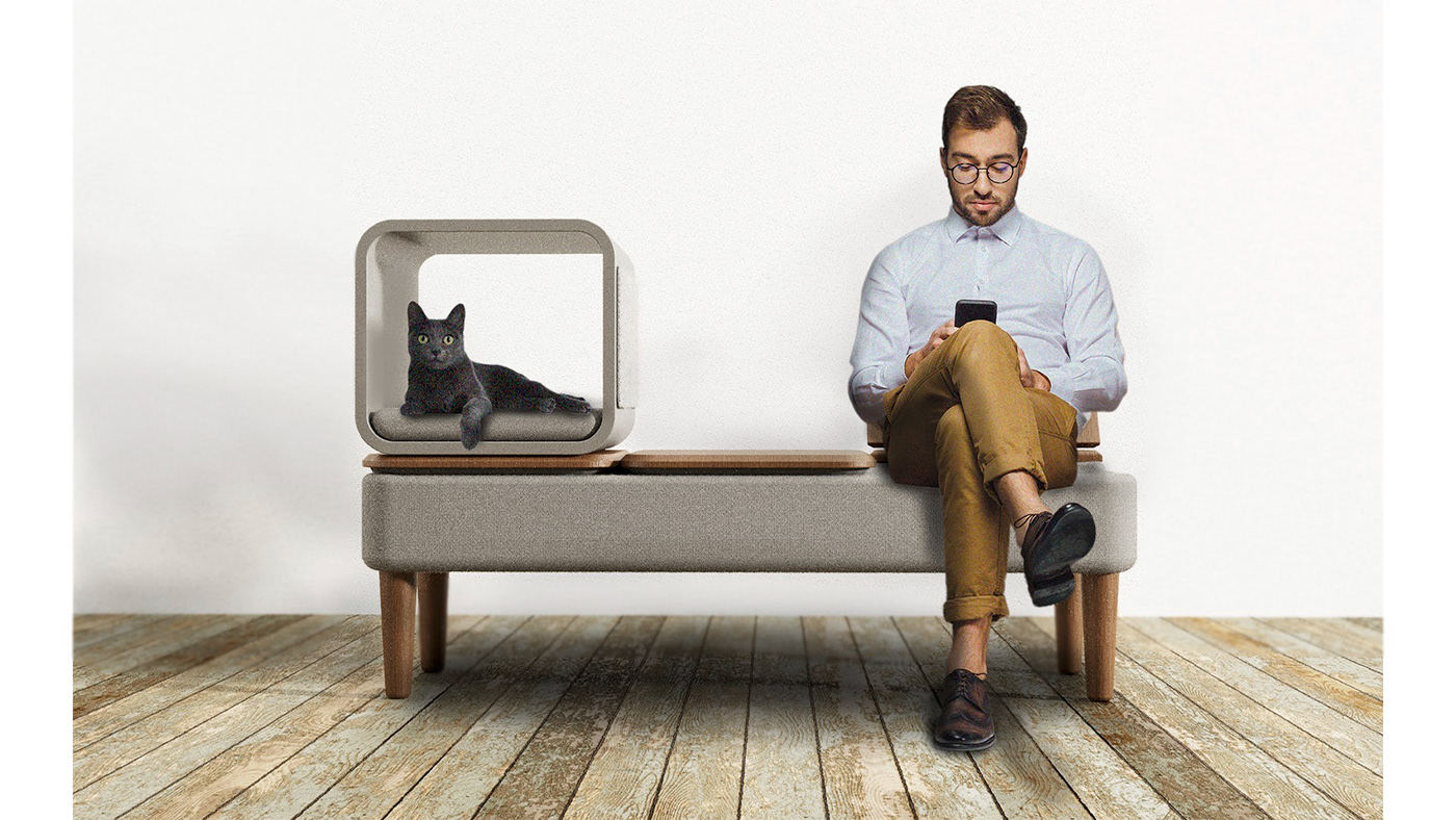 Title: The Art of Dealing with Cat Urine on Leather Sofas