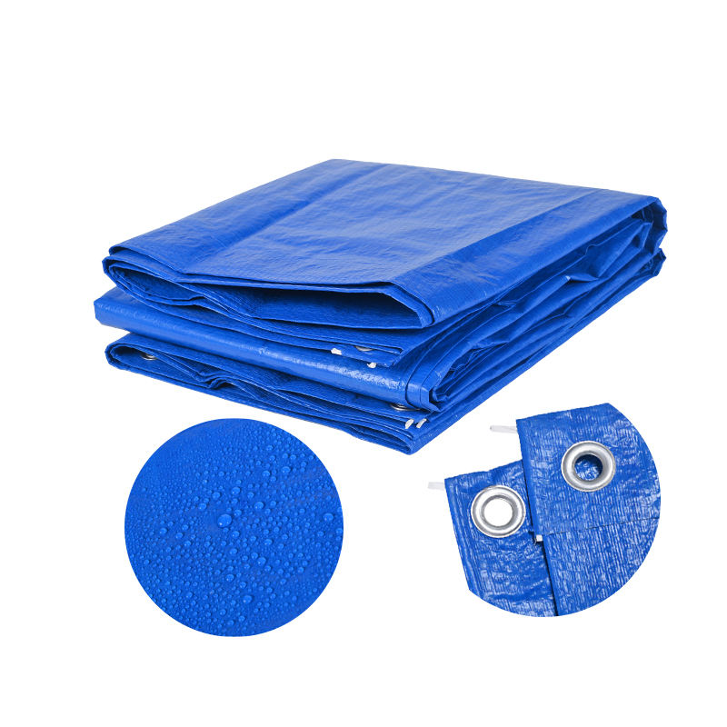 Blue Carpets: A Visual Delight