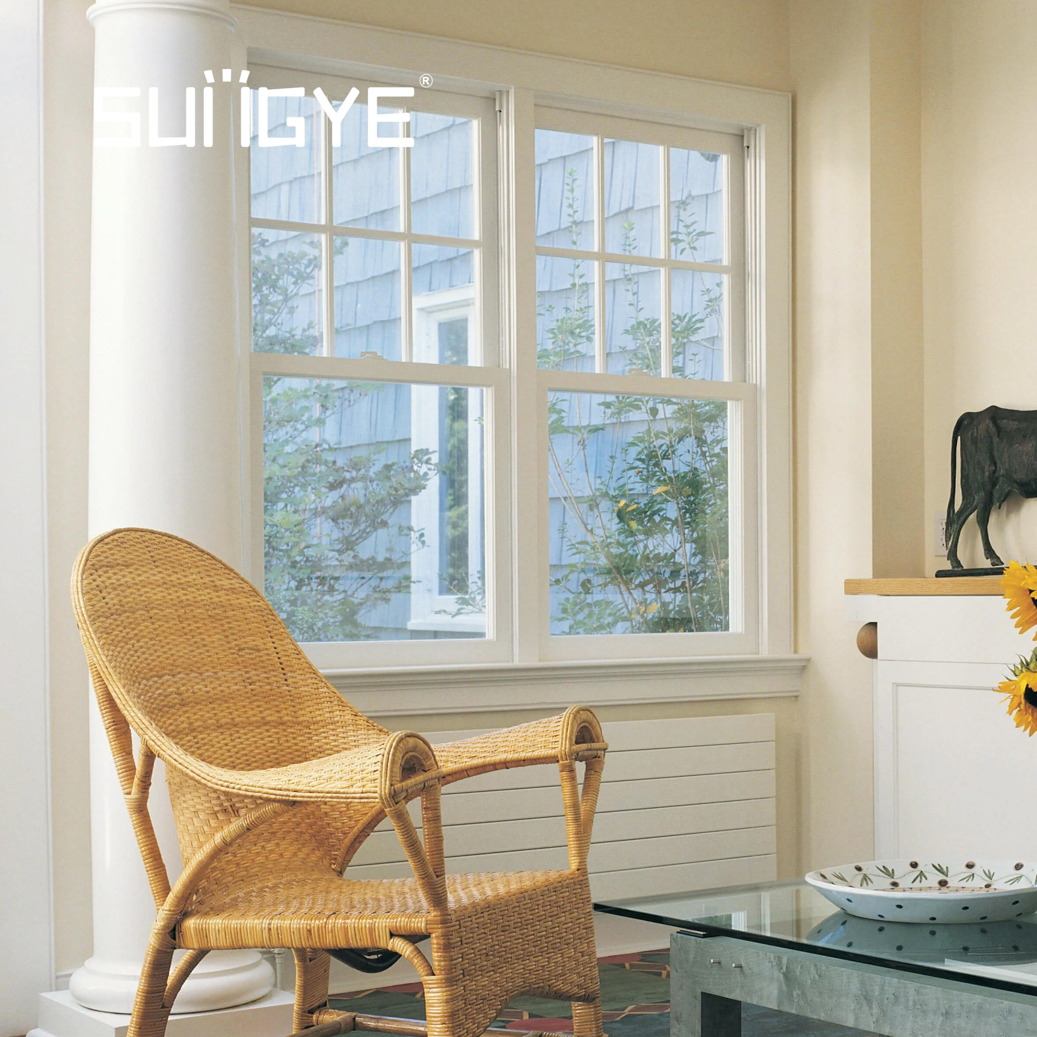 Title: The Design and Function of Interior Window Shades