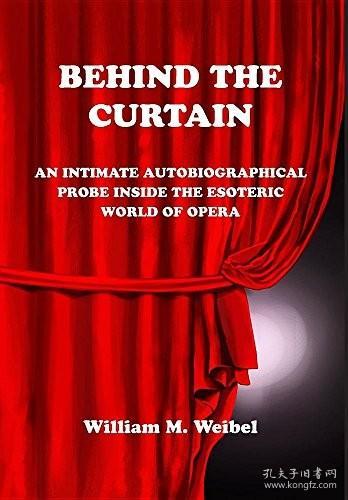 The Debate on Thick vs. Thin Curtains