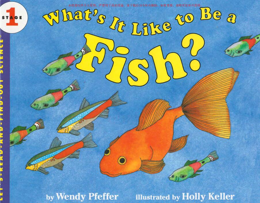 Title: Is it Okay to Put a Fish Tank Behind the Sofa?